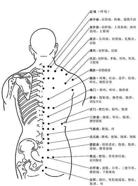 人身穴位圖|史上最全！人体最全穴位图及作用功效（建议收藏）